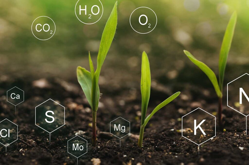 boost crop output based on the crop inputs advice by aboveAGRO consultant